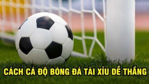 Tài xỉu 2 3/4 là gì ? Cách đánh tài xỉu 2 ¾ luôn dành chiến thắng