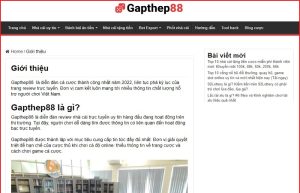Vì sao người ta vào xem review cổng tài xỉu tại Gapthep88?