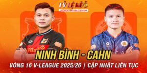 cuc dien v league dan nga ngu