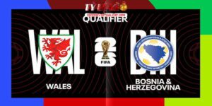 wales vs bosnia